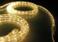 warm white LED rope light.jpg